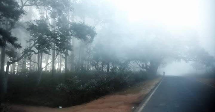 Cold Wave Grips Odisha - Reporters Today English